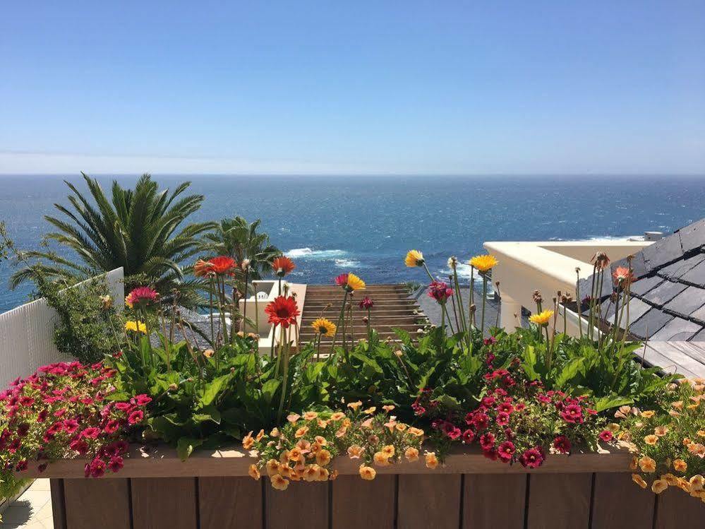 Hotel Compass House Boutique - Adults Only Cape Town